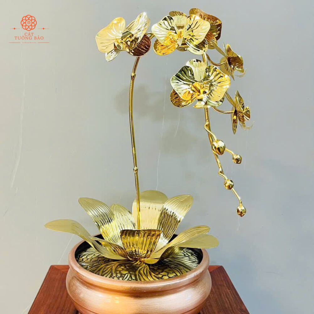 Các loại chậu hoa lan hồ điệp mạ vàng 24K